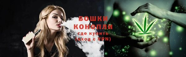 трава Алзамай
