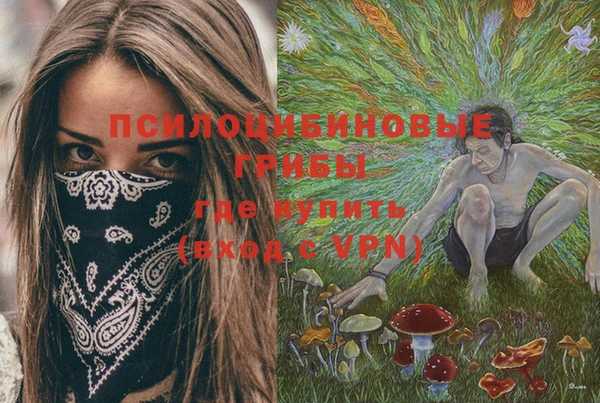 мяу мяу мука Алексеевка