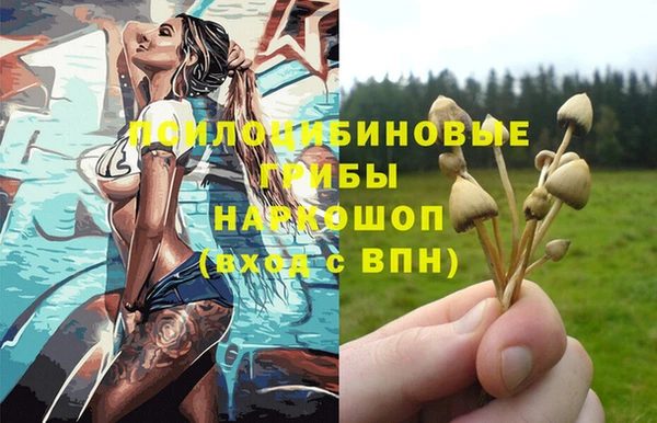 мяу мяу мука Алексеевка