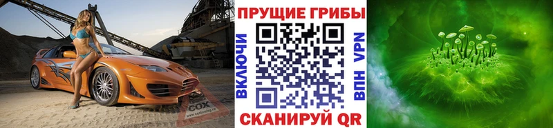 Псилоцибиновые грибы GOLDEN TEACHER  блэк спрут маркетплейс  Сасово 